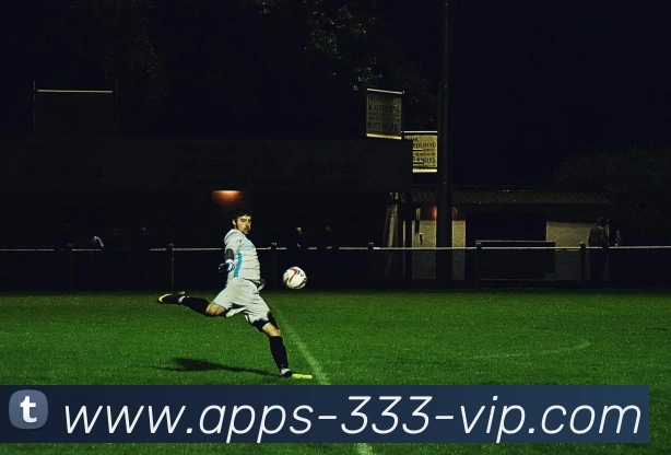 333体育品牌故事